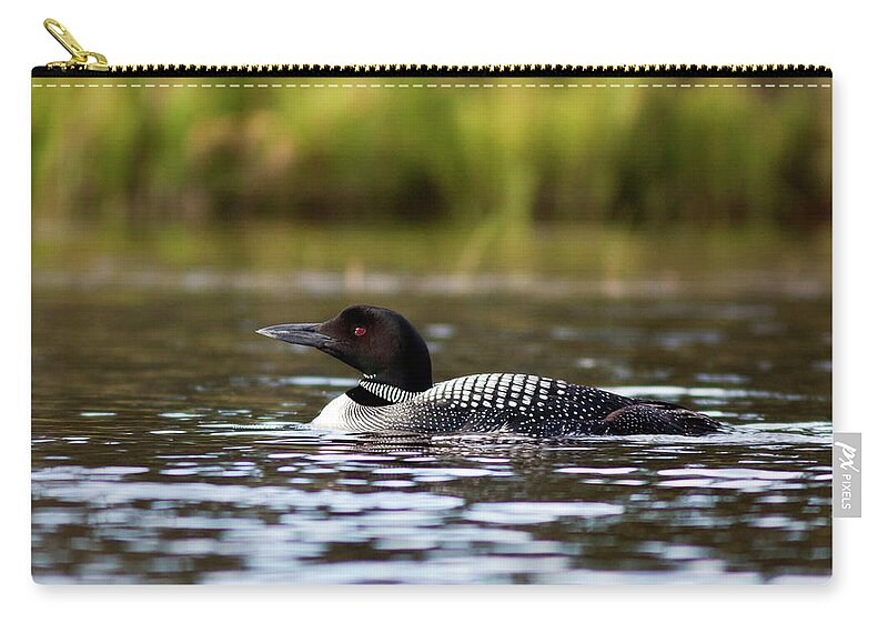 Lake Zip Pouch featuring the photograph Common Loon by John Rowe