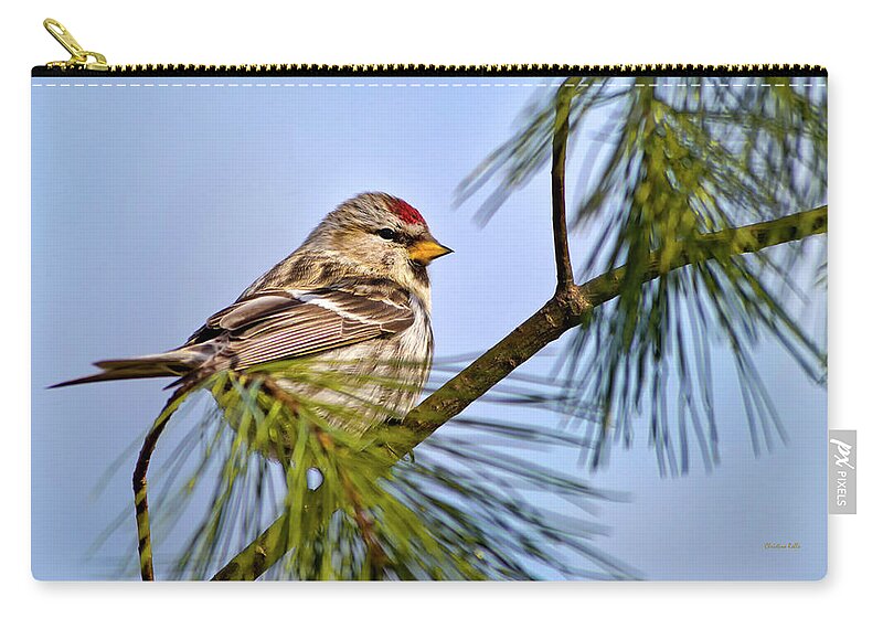 Bird Zip Pouch featuring the photograph Common Redpoll Bird by Christina Rollo