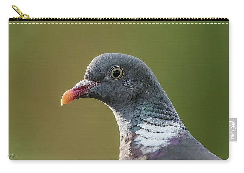 Common Wood Pigeon Zip Pouch featuring the photograph Common Wood Pigeon s portrait by Torbjorn Swenelius