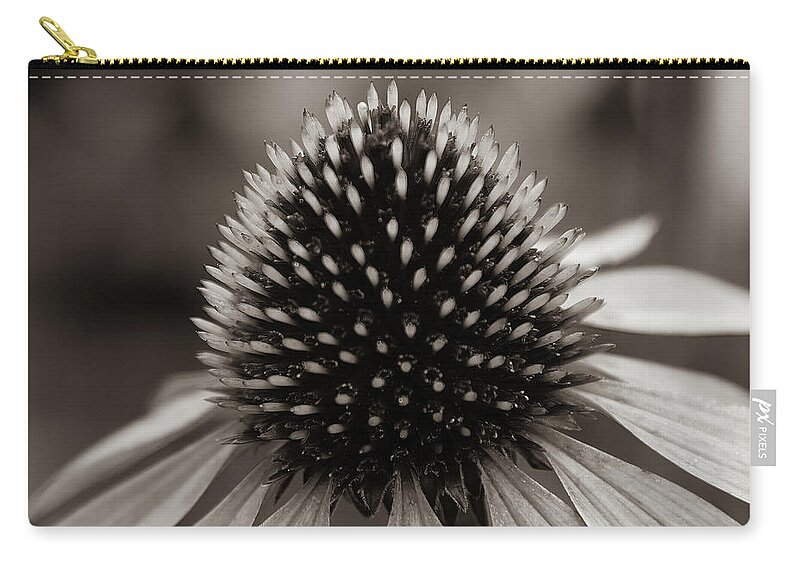 Flower Zip Pouch featuring the photograph Cone Black and White - 1 by John Kirkland