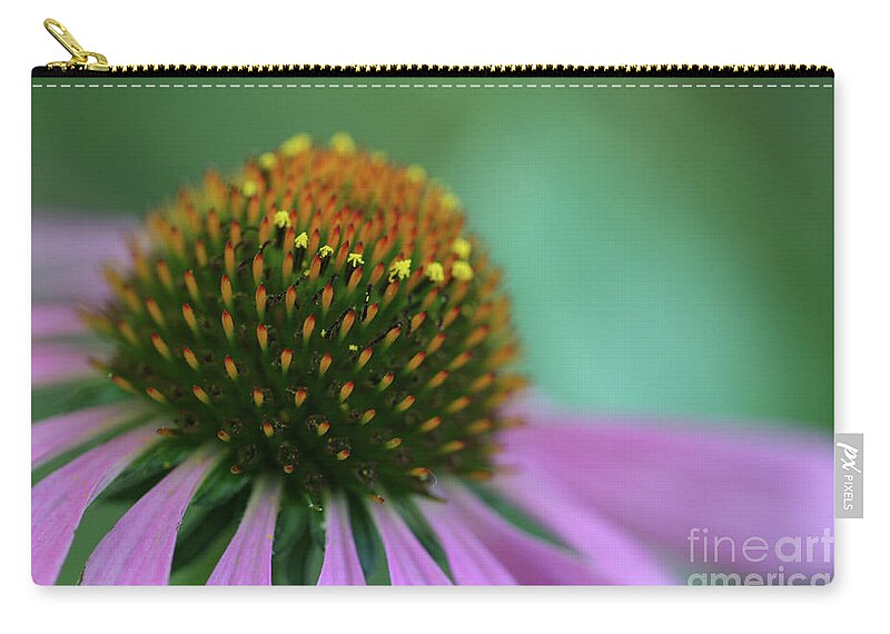 Coneflower; Echinacea; Flower; Blossom; Flower; Flowers; Petals; Close-up; Macro; Purple; Green; Violet; Dreamy; Horizontal; Garden; Spring Carry-all Pouch featuring the photograph Coneflower Dream by Tina Uihlein