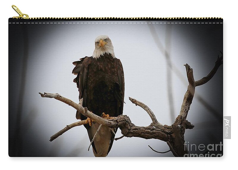 Eagles Zip Pouch featuring the photograph Contemplating by Veronica Batterson