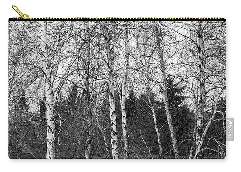 Black And White Zip Pouch featuring the photograph Contrast by Kim Sowa