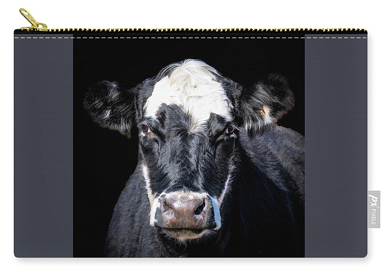 Cow Zip Pouch featuring the photograph Cookie the Cow by Cheri Freeman