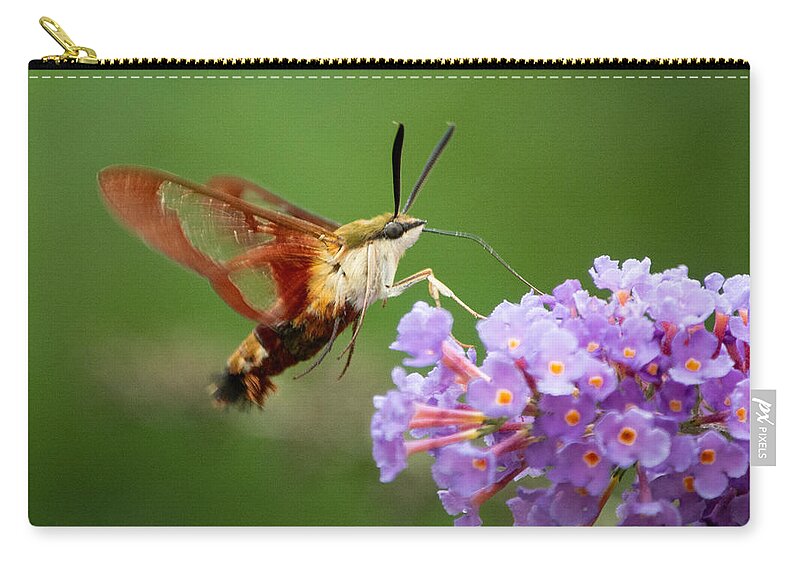 Hummingbird Moth Zip Pouch featuring the photograph Cool Creature by Linda Bonaccorsi