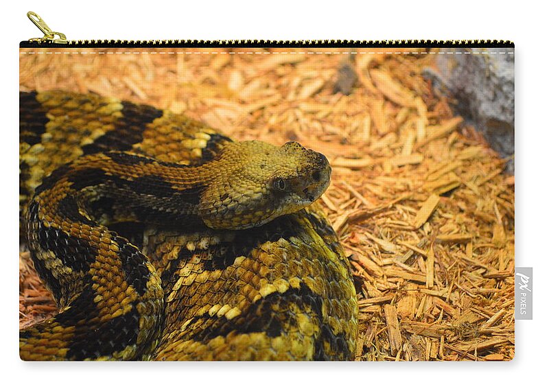 Snakes Zip Pouch featuring the photograph Copperhead Watching by Stacie Siemsen