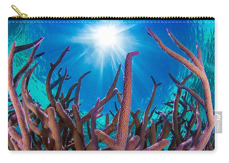 Coral Zip Pouch featuring the photograph Coral and Sky by Tanya G Burnett