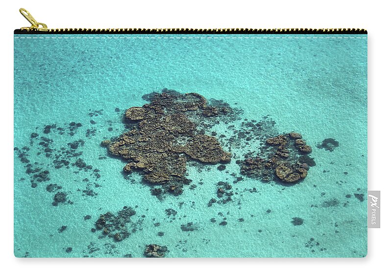 Turquoise Zip Pouch featuring the photograph Coral bombies by Nicolas Lombard