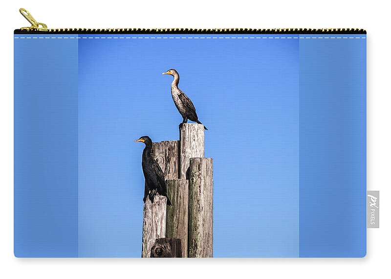 Alabama Zip Pouch featuring the photograph Cormorants on a Piling at Pier by James C Richardson