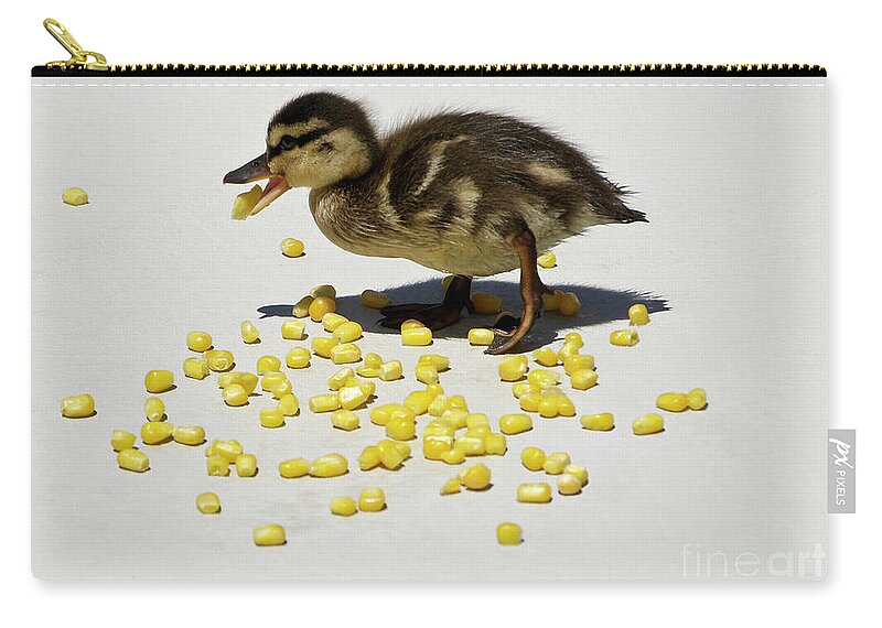 Duck Zip Pouch featuring the photograph Corn is So Yummy by Michele Burgess