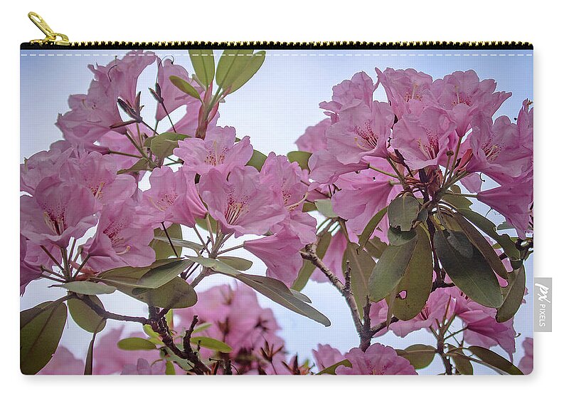 Rhododendron Zip Pouch featuring the photograph Cornell Botanic Gardens #6 by Mindy Musick King