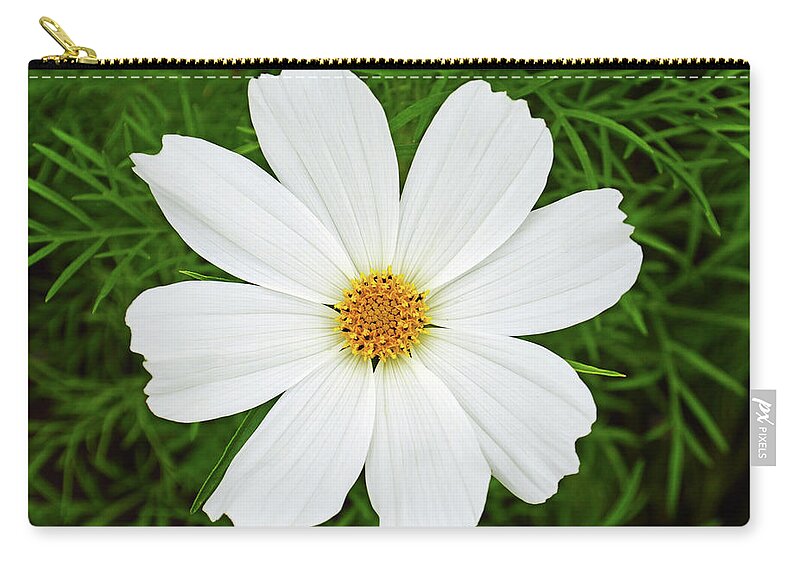 Cosmos Flower Zip Pouch featuring the photograph Cosmos White by Terence Davis