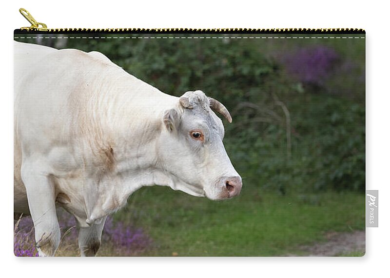 Cow Zip Pouch featuring the photograph Cow in the Forest by MPhotographer