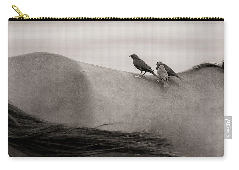 Sepia Zip Pouch featuring the photograph Cowbirds and Horse Tail by Dirk Johnson