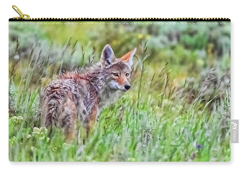 Coyote Zip Pouch featuring the photograph Coyote by Joe Granita