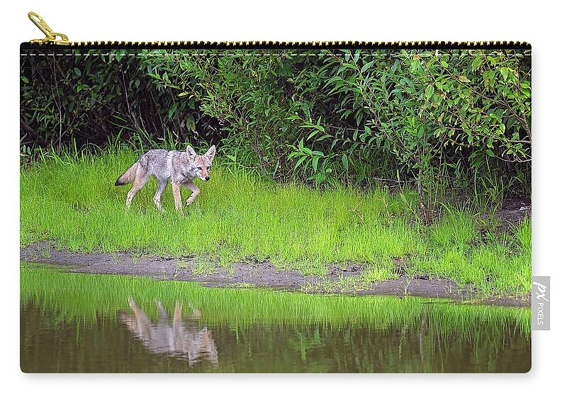 Coyote Zip Pouch featuring the photograph Coyote by Sharon Talson