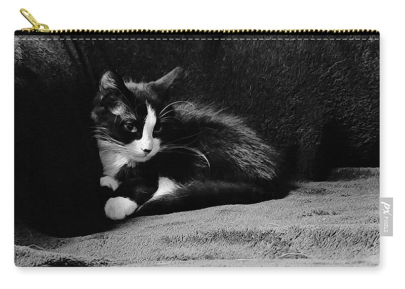 Kitten Carry-all Pouch featuring the photograph Cozy time kitty by Shalane Poole