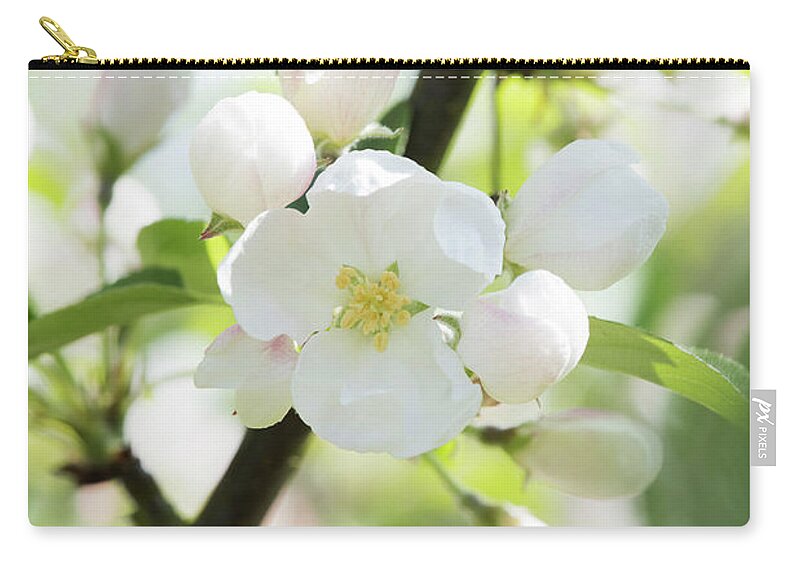 Malus X Robusta Red Siberian Zip Pouch featuring the photograph Crab Apple Tree Blossom by Tim Gainey
