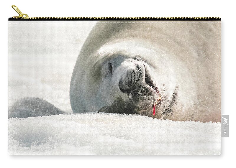 04feb20 Zip Pouch featuring the photograph Crabeater Seal Frozen Drool Pile Macro by Jeff at JSJ Photography