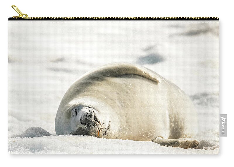 04feb20 Zip Pouch featuring the photograph Crabeater Seal Frozen Drool Pile Raw Color by Jeff at JSJ Photography