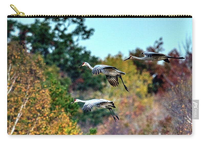 Nature Zip Pouch featuring the photograph Cranes in Fall by Paul Freidlund