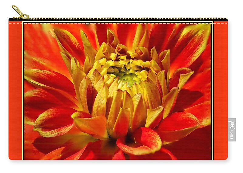 Flower Zip Pouch featuring the photograph Crimson and Yellow Dahlia by Nancy Ayanna Wyatt