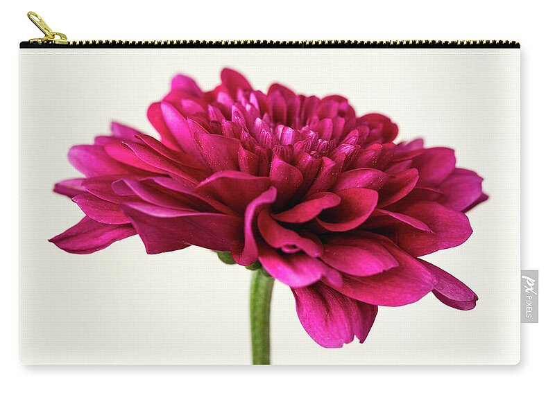 Chrysanthemum Zip Pouch featuring the photograph Crimson Chrysanthemum by Tanya C Smith