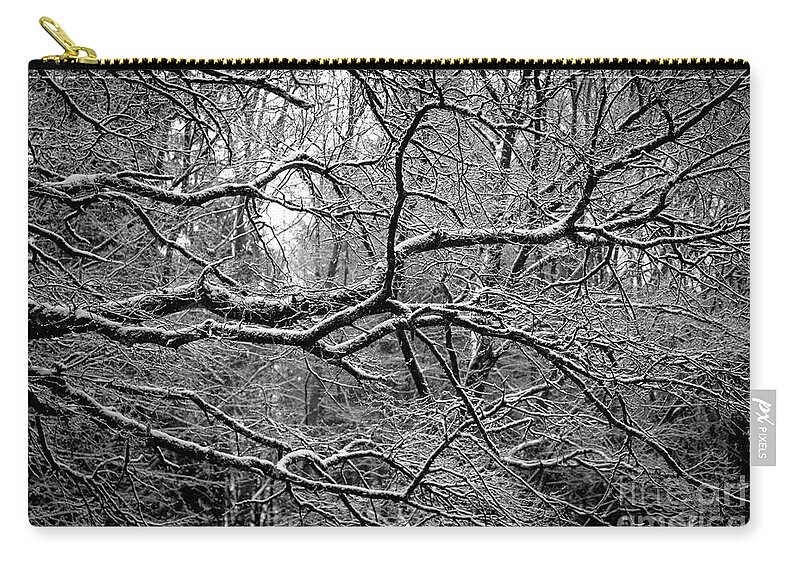 Branch Zip Pouch featuring the photograph Crisp Branches by Daniel M Walsh