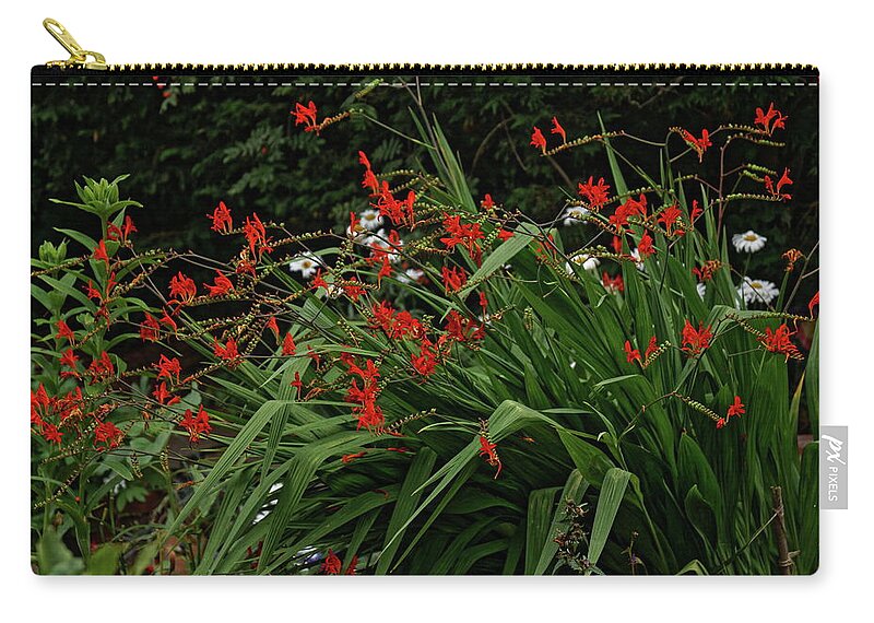 Crocosmia Zip Pouch featuring the photograph Crocosmia Garden by Jeff Townsend