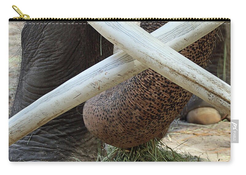 Elephant Zip Pouch featuring the photograph Crossed Tusks by M Kathleen Warren