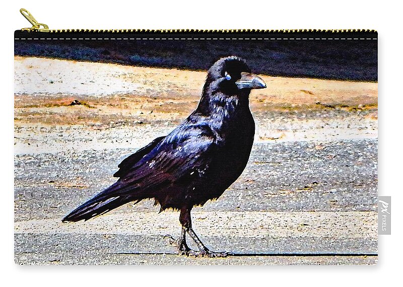 Bird Zip Pouch featuring the photograph Crow Crossing The Street by Andrew Lawrence