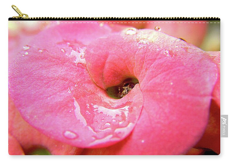 Flower Zip Pouch featuring the photograph Crown of Thorns by Adam Johnson