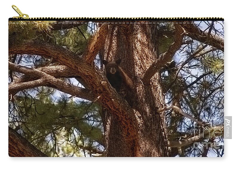 Wildlife Zip Pouch featuring the photograph cub in El Dorado National Forest, California, U.S.A. by PROMedias US