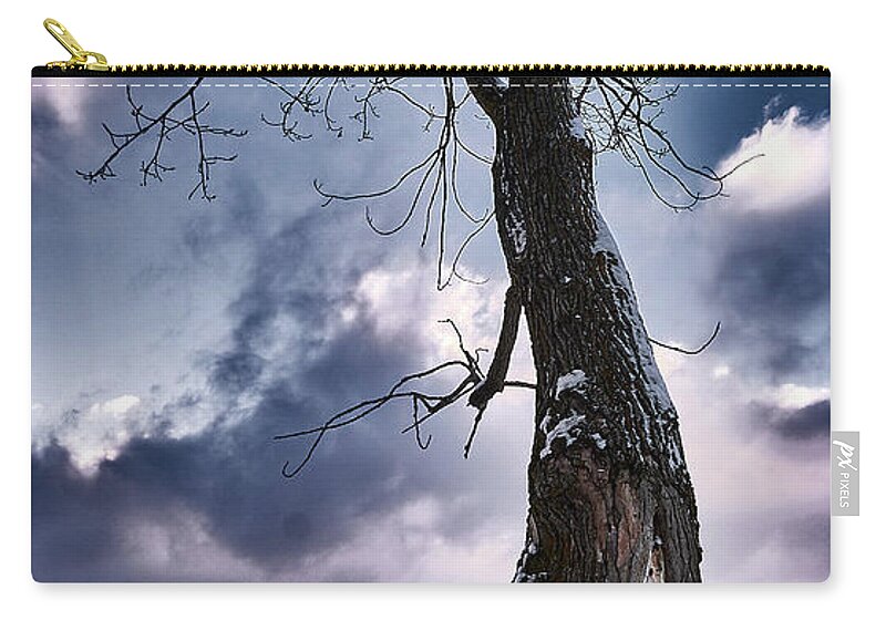 Tree Zip Pouch featuring the photograph The Solo Curb Tree On The River by Carl Marceau