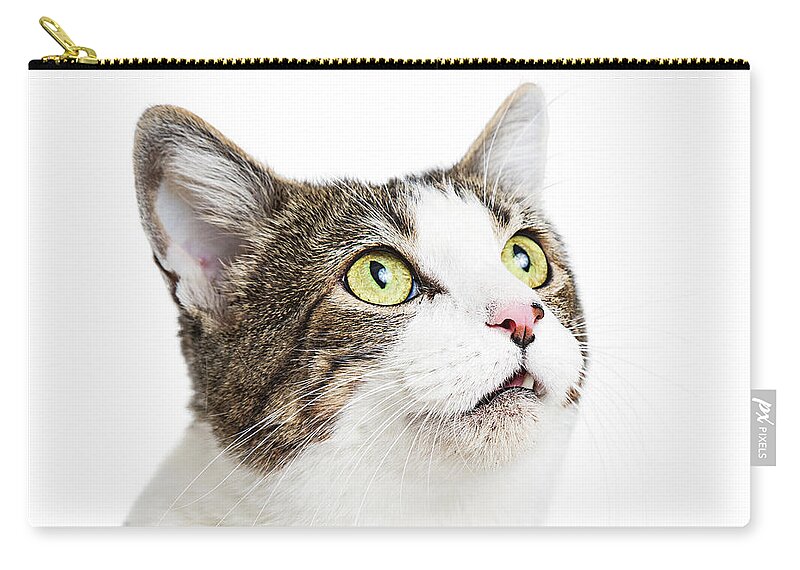 White Background Zip Pouch featuring the photograph Curious Cat Close-up Looking Up by Good Focused