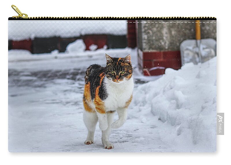 Liza Carry-all Pouch featuring the photograph Cat's jump in winter by Vaclav Sonnek