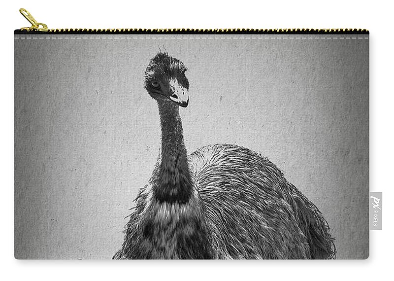 Emu Zip Pouch featuring the photograph Curious Emu by Elaine Teague