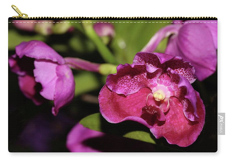 Orchid Carry-all Pouch featuring the photograph Curled Orchids by Mingming Jiang