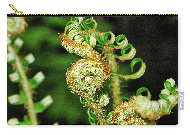 Flora Zip Pouch featuring the photograph Curly fern by Segura Shaw Photography
