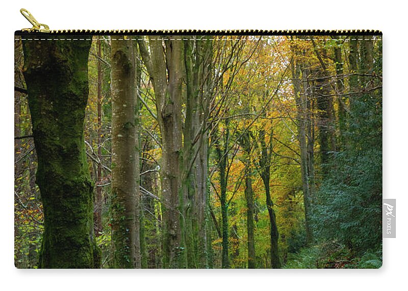 Stone Arch Zip Pouch featuring the photograph Curraghchase walkways by Mark Callanan