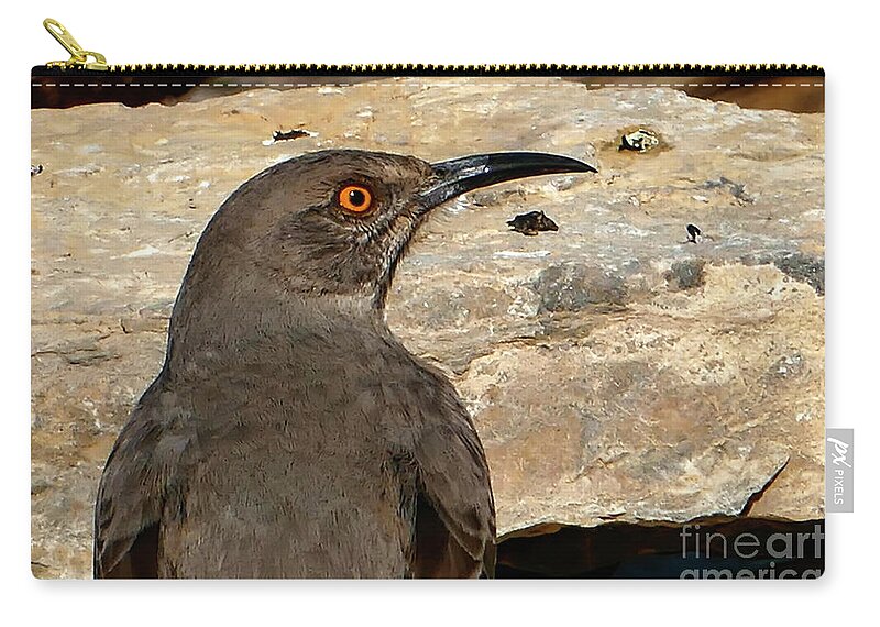 Wild Life Zip Pouch featuring the photograph Curved Billed Thrasher Bird by Sandra J's