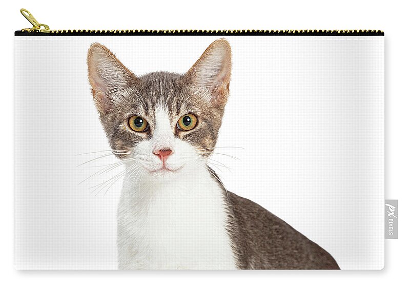 Cat Carry-all Pouch featuring the photograph Cute Smiling Young Cat Closeup by Good Focused