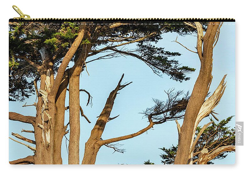 Cypress Trees Zip Pouch featuring the photograph Cypress Trees at Battery LIghthouse by Cathy Anderson