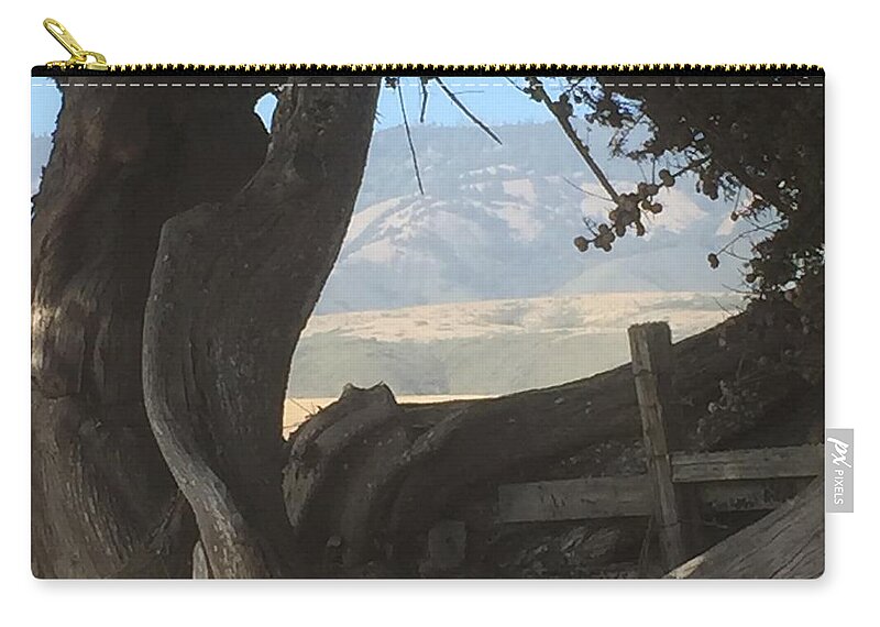 Trees Carry-all Pouch featuring the painting Cypress Trees Mountain View by Sandy Rakowitz