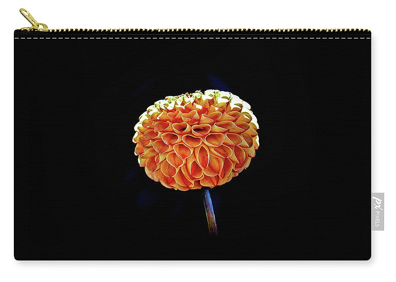 Flower Carry-all Pouch featuring the photograph Dahlia by Anamar Pictures