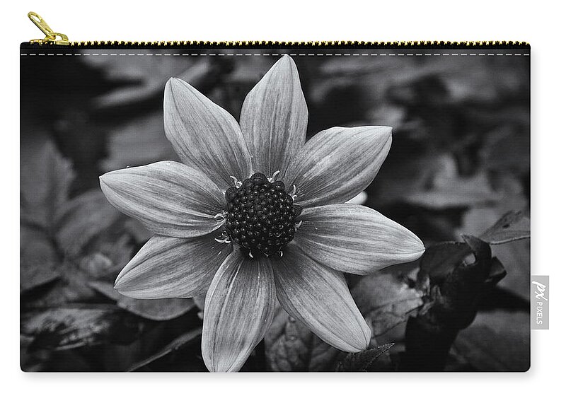 Dahlia Zip Pouch featuring the photograph Dahlia Black And White by Jeff Townsend