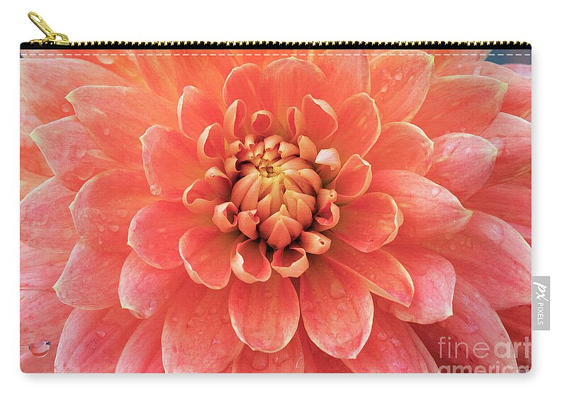 Kmaphoto Zip Pouch featuring the photograph Dahlia Beauty by Kristine Anderson