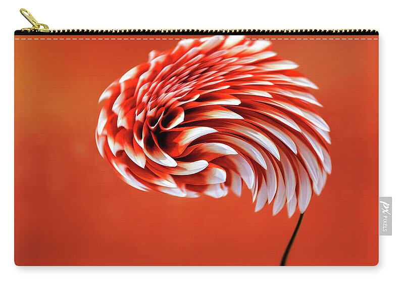 Hot Zip Pouch featuring the photograph Dahlia In Heat by Bill and Linda Tiepelman