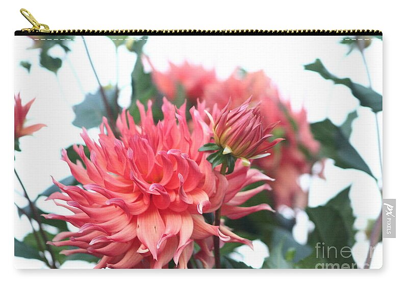 Dahlias Zip Pouch featuring the photograph Dahlias by B Rossitto