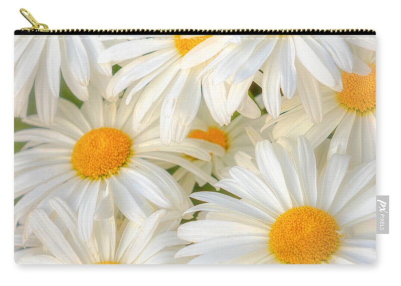 Daisies Zip Pouch featuring the photograph Daisies in a Square by Rod Best